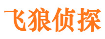 铁锋飞狼私家侦探公司